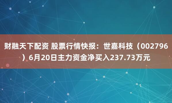 财融天下配资 股票行情快报：世嘉科技（002796）6月20日主力资金净买入237.73万元