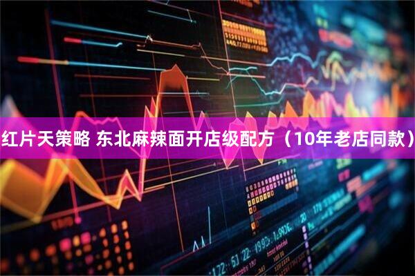 红片天策略 东北麻辣面开店级配方（10年老店同款）