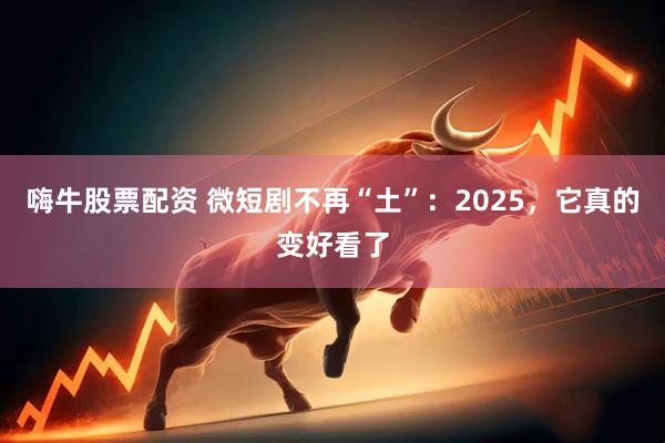 嗨牛股票配资 微短剧不再“土”：2025，它真的变好看了