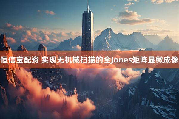 恒信宝配资 实现无机械扫描的全Jones矩阵显微成像