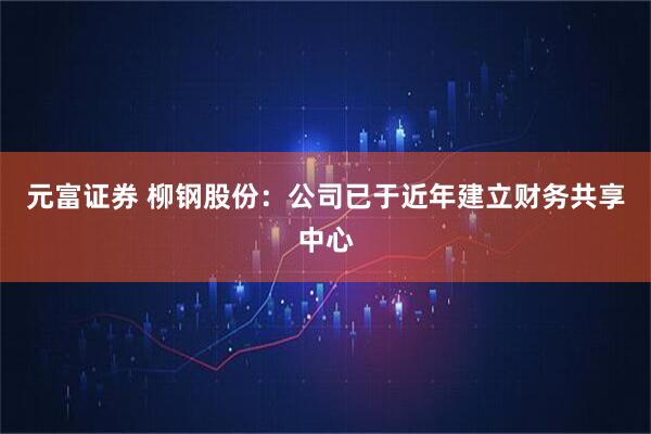 元富证券 柳钢股份：公司已于近年建立财务共享中心